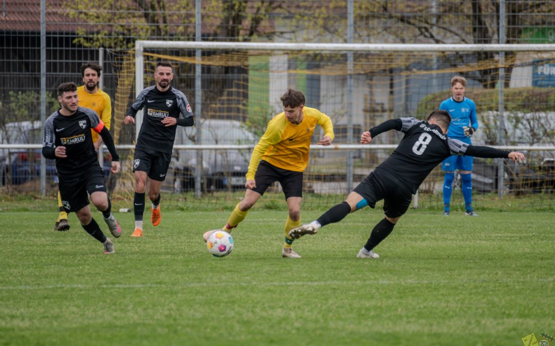Herren mit Punktgewinn gegen Sigmaringen